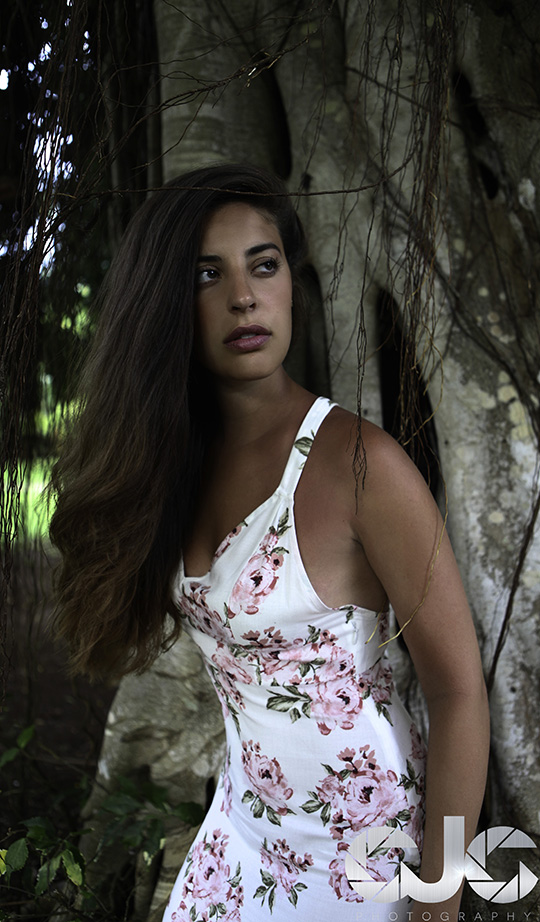 Alli [38]