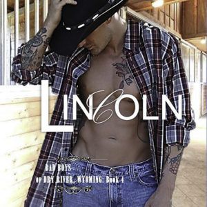 Lincoln by Susan Fisher-Davis, Chris Boutot, CJC Photography, book cover photographer, romance novel